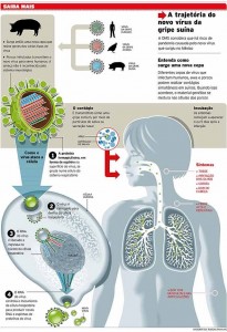 Sintomas da gripe H1N1 (Clique para ampliar)